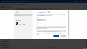 OneDrive-Co-owner-Share